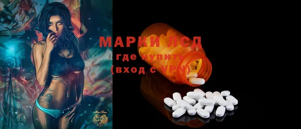 прущие грибы Балахна