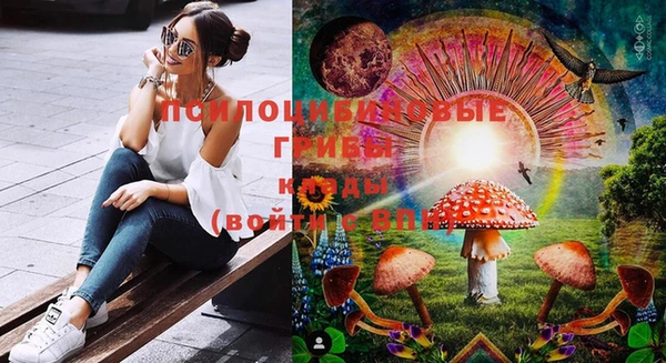 прущие грибы Балахна