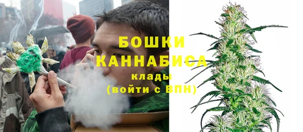 прущие грибы Балахна