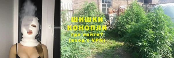 прущие грибы Балахна