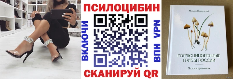 Псилоцибиновые грибы GOLDEN TEACHER Севск