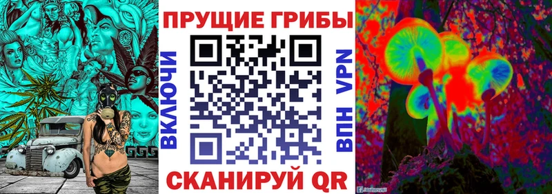 Псилоцибиновые грибы прущие грибы  Севск 